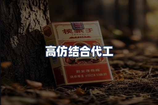 高仿结合代工